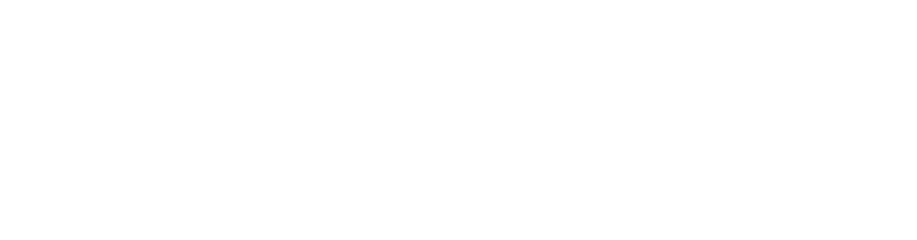 creditsafe logo in white