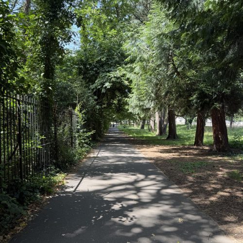 A picture of a trail near the Cardiff Museum grounds.