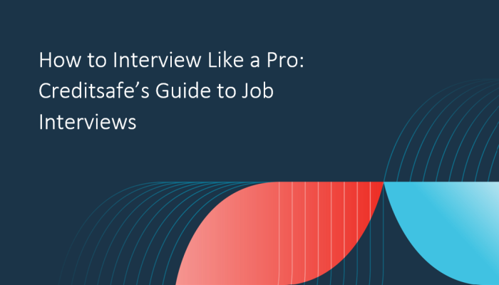 A cover image for our blog, 'how to interview like a pro: Creditsafe's guide to job interviews'
